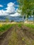 A simple dirt road, clay new and old grass, spring landscape