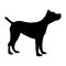 Simple dog silhouette for education