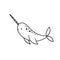 Simple doodle drawings with narwhal. Vector illustration with arctic whale isolated on white background
