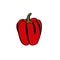 A simple doodle illustration of bright juicy sweet pepper. Sweet Bulgarian pepper.