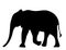 Simple elephant silhouette for education