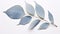 A simple, elliptical eucalyptus leaf covered in silvery-blue hues