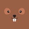 Simple face of Beaver. Animal Face Illustration. Isolated Vector