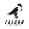 Simple falcon vector logo design