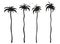 Simple flat black and white tall palm trees icon