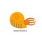 Simple flat style icon of Ammonite. Pictogram of ancient shellfish for print on t-shirt or design card.