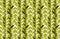 Simple flat tropical bamboo pattern