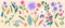 Simple flowers. Floral elements. Tropic leaves. Tulip bud. Chrysanthemum and peony. Vintage pattern daisy. Iris or calla