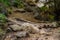 Simple footbridge in the kestrel ravine, Barranco de los Cernicalo