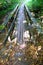 Simple footbridge made of wooden boards at the edge of the forest  2