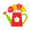 A simple garden watering can with a flower and flowers, tulips and poppies inside. Gardening. Cartoon flat style. Isolated on a