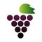 Simple Grape Icon