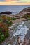 Simple hiking trail through flowers and rocky coast of Maine with views of ocean during dusk