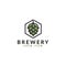 Simple hops logo design in hexagon, minimalist and clean logo, beer logo, brewery, modern vector template