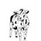 Simple illustration of an adult cow on a white background