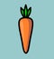 Simple illustration of delicious carrot with beautiful green leaves.