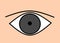 A simple illustration image of a dark grey human eye with no color against a skin backdrop