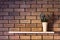 Simple interior design, flower pot on the shelf on brick wall