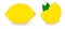 Simple Lemon icon, version with single and two fruits