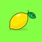 Simple lemon vector illustration isolated on green background