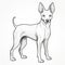 Simple Line Drawing Of Xoloitzcuintli On White Background