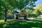 Simple Midwestern Neighborhood Park with Trees during the Start of Autumn