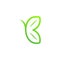 Simple minimalist butterfly and leaf logo