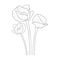 simple minimalist poppy flower tattoo, poppy line drawin, black and white realistic poppy, poppy flower bouquet