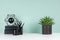 Simple minimalistic office interior with black stationery, books, coffee cup, aloe plant, abstract sculpture in green mint menthe.