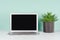 Simple minimalistic office interior with blank laptop monitor, aloe plant in black ribbed pot in elegant green mint menthe.