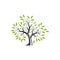 Simple and modern trees natural logo illustration 5