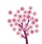 Simple naive pink color sakura tree blossom