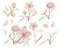 Simple nursery set. Watercolor hand drawn delicate illustration of pink blossom cherry flowers, branch, buds, leaves