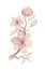 Simple nursery set. Watercolor hand drawn delicate illustration of pink blossom cherry flowers, branch, buds, leaves