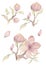 Simple nursery set. Watercolor hand drawn delicate illustration of pink blossom cherry flowers, branch, buds, leaves