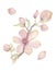 Simple nursery set. Watercolor hand drawn delicate illustration of pink blossom cherry flowers, branch, buds, leaves