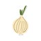 Simple onion flat drawing with black lines isolated on white background. HAnd drawn vector cartoon doodle modern style