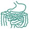 Simple outline modern turquoise human digestive system icon