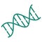 Simple outline modern turquoise schematic icon of the DNA double helix
