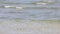 Simple panorama with sea waves towards the shore
