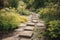 a simple pathway through a garden, dotted with stepping stones