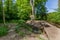 Simple pedestrian bridge over a stream with clean water in the forest surrounded by trees and green vegetation