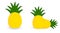 Simple pineapple icon, version with single and two fruits.