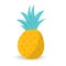 Simple pineapple vector illustration with flat design