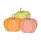 Simple Pumpkin vector illustration with flat design
