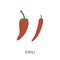 Simple red chili peppers icon in different shapes. Red Jalapeno, Cayenne and Fresno spicy pepper. Hot food in menu