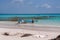 Simple rural fishermen spread the catch of huge fish sharks to the sandy beach