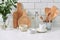 Simple rustic kitchenware against white wooden wall: rough ceramic pot with wooden cooking utensil set, stacks of ceramic bowls,