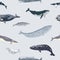 Simple seamless pattern with different whales.