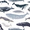 Simple seamless pattern with different whales.